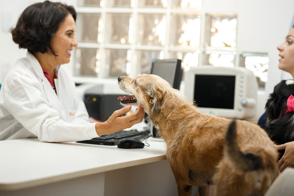 5 erros que afastam clientes da sua clínica veterinária 