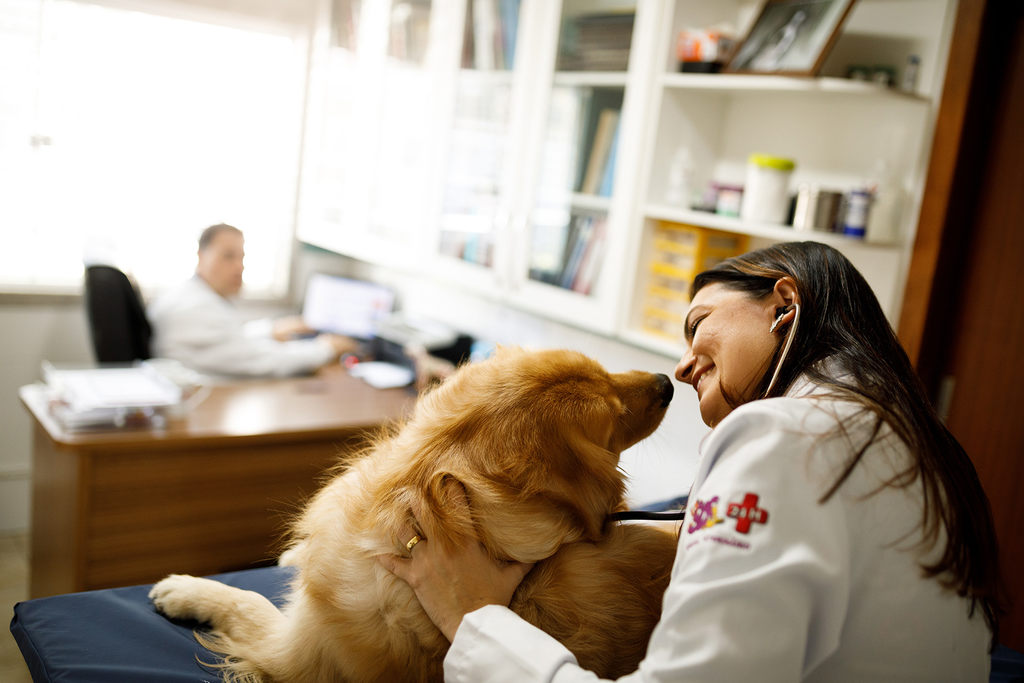 ideais para clínica veterinária