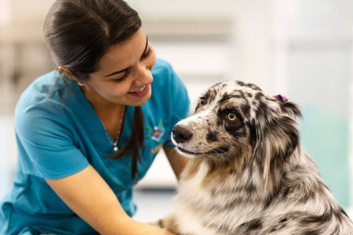 Médica veterinária sorri enquanto abraça cachorro