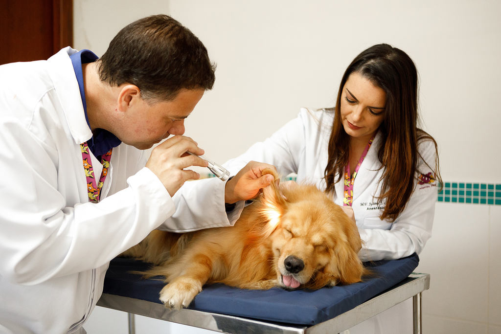 controle de estoque clínica veterinária
