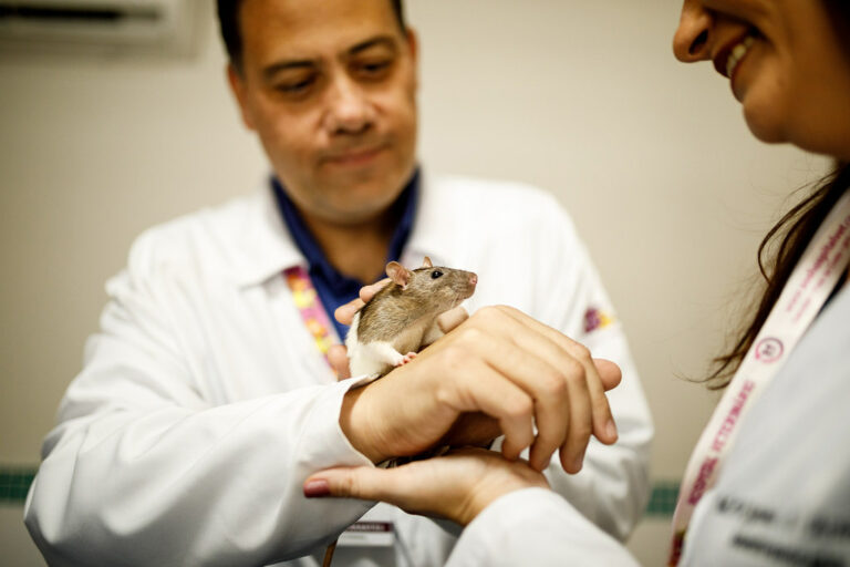 prontuário veterinário