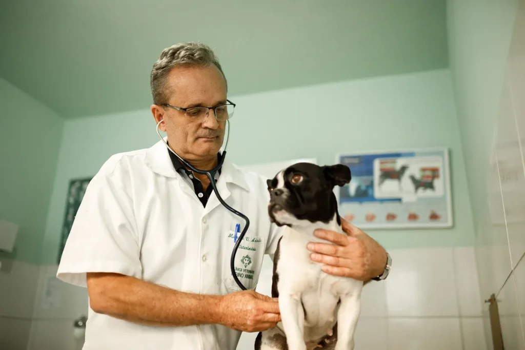 Planos de saúde para clínicas veterinárias: como oferecer? 3 Planos de saúde para clínicas veterinárias