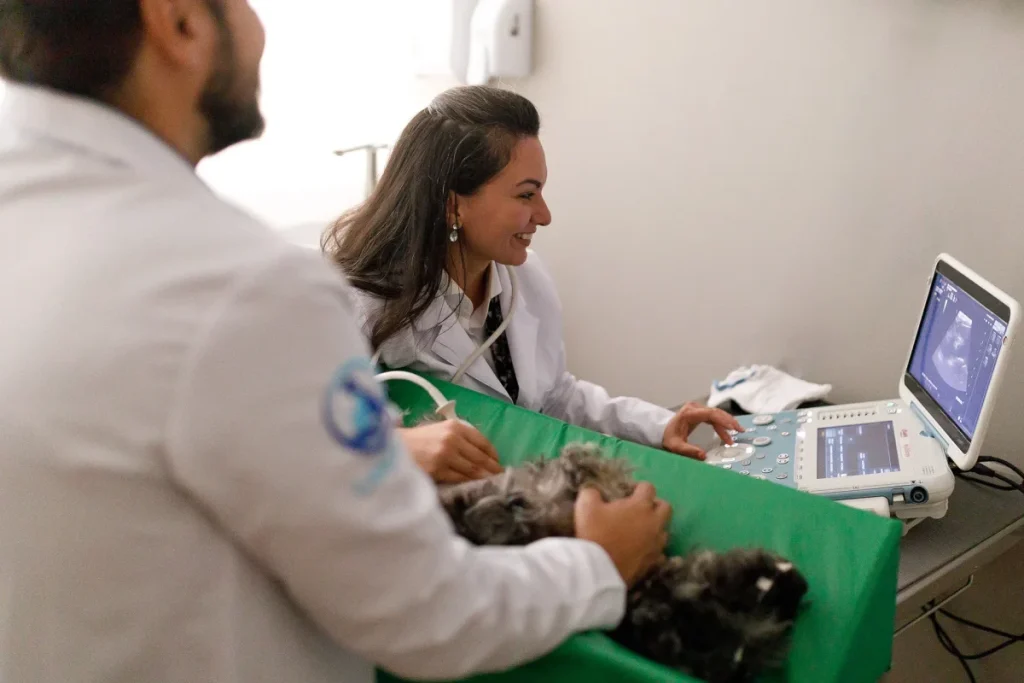 Planos de saúde para clínicas veterinárias: como oferecer? 1 Planos de saúde para clínicas veterinárias