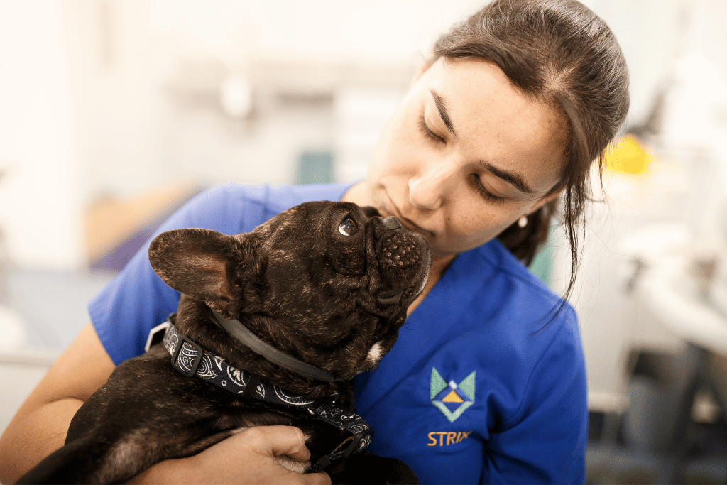 médica veterinária fazendo carinho em cachorro