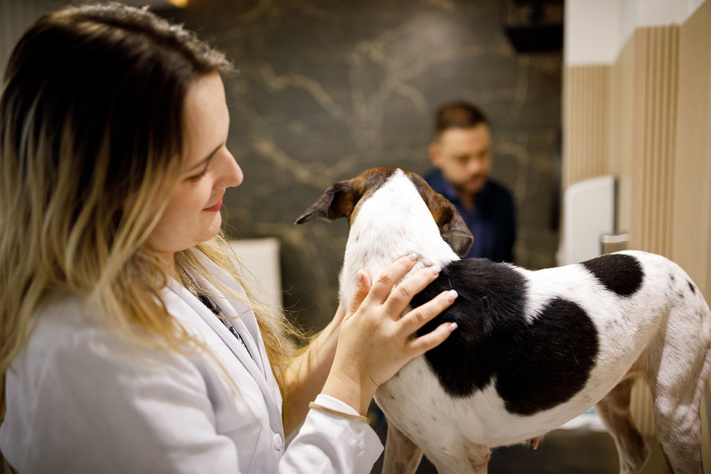 Como fazer uma boa anamnese veterinária?