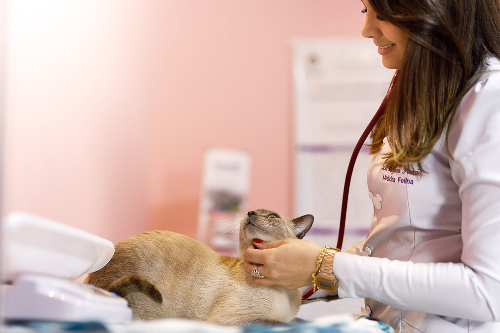 O que é uma anamnese veterinária?