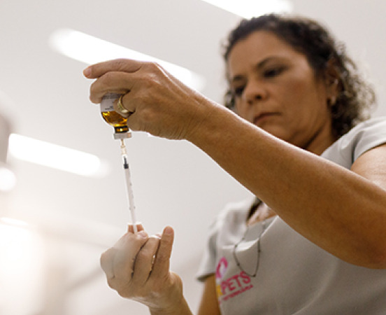 Veterinária preparando a aplicação de uma vacina