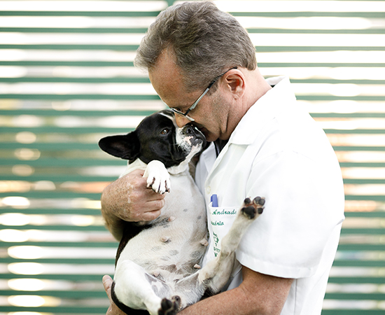 Veterinário abraçando o cachorro
