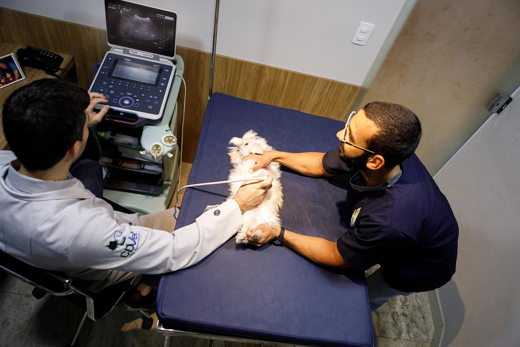 Principais inovações tecnológicas na medicina veterinária