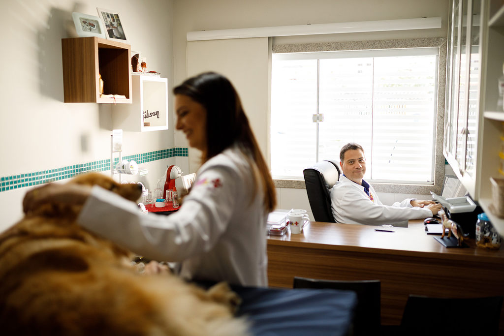 Como o SimplesVet pode ajudar na gestão da sua clínica veterinária