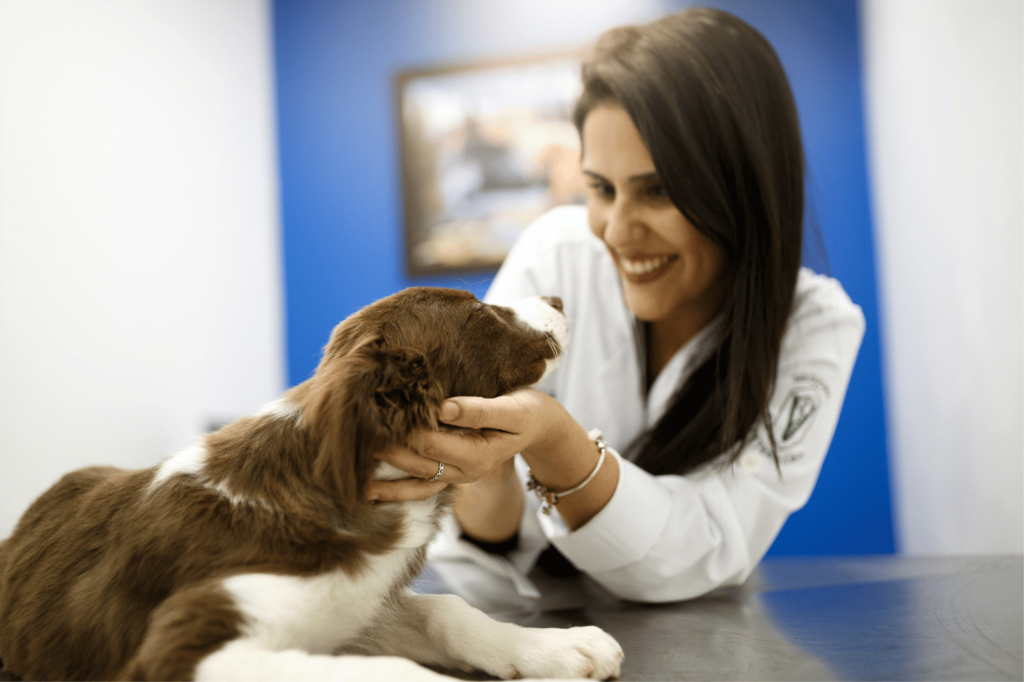 Médica veterinária sorrindo para um cãozinho