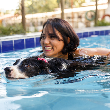 Veterinária ensinando cadela a nada na piscina
