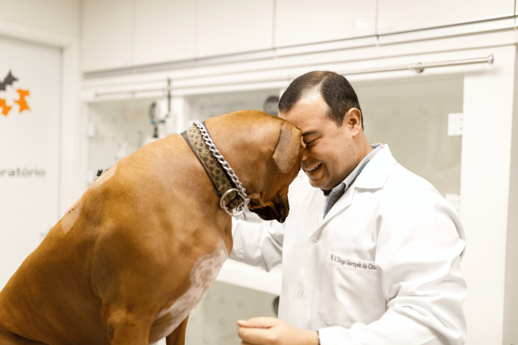 Médico veterinário realizando atendimento logo após abrir clínica veterinária