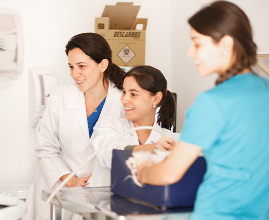 Histórias de sucesso: o projeto 10 Veterinárias realizando um exame de ultrassom num cachorro