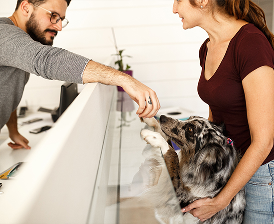 Histórias de sucesso: o projeto 9 Tutor e seu pet conversando com atendente