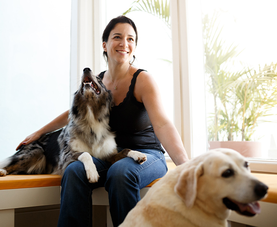 Histórias de sucesso: o projeto 7 Veterinária curtindo um momento com seus pets