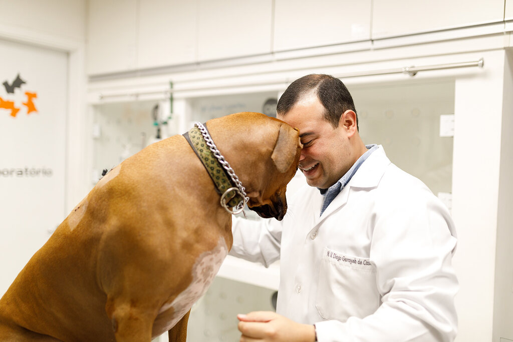 Importância do planejamento estratégico em clínicas veterinárias