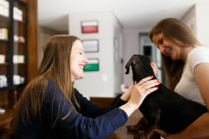 Pesquisa de satisfação pet shop