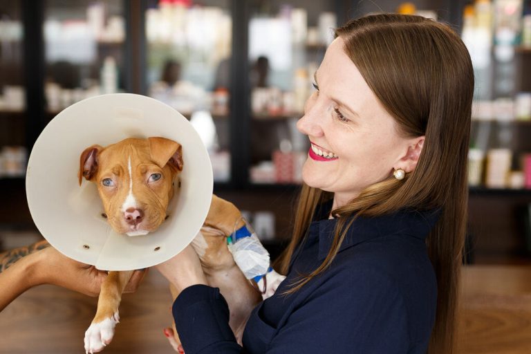 Tutora e seu cachorro entendendo o direito do consumidor da clínica veterinária