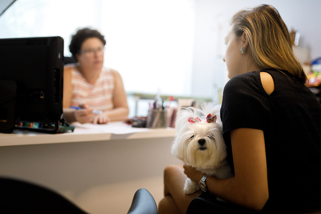 Veterinária fazendo atendimento do cliente e reduzindo o custo veterinário