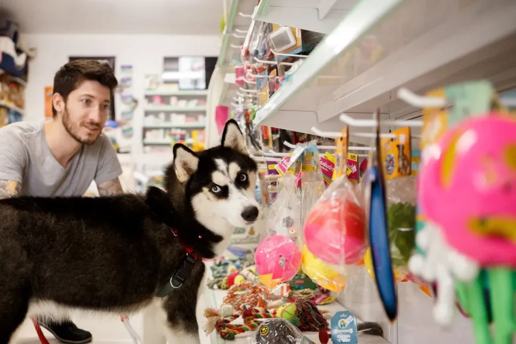 Recorrência em pet shop: saiba o que é e como usar na sua empresa