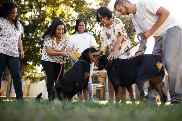 Saúde mental do médico-veterinário