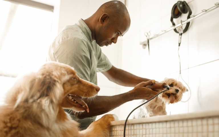 Homem negro atendendo pacotes de serviços em pet shop