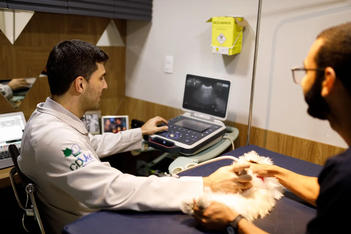 Como organizar agenda, WhatsApp e financeiro na clínica veterinária sem perder o controle