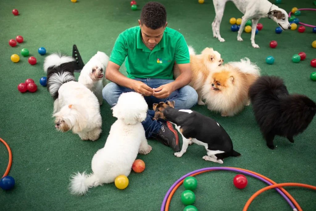 Planejamento 2026: como estruturar metas para pet shops e clínicas veterinárias