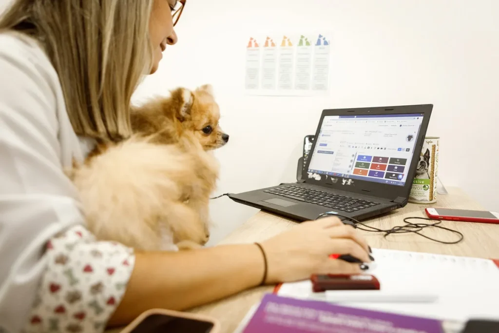 Certificado digital A1 e A3 em empresas pet: qual a diferença entre eles? 3 Certificado digital A1 e A3 em empresas pet: qual a diferença entre eles?