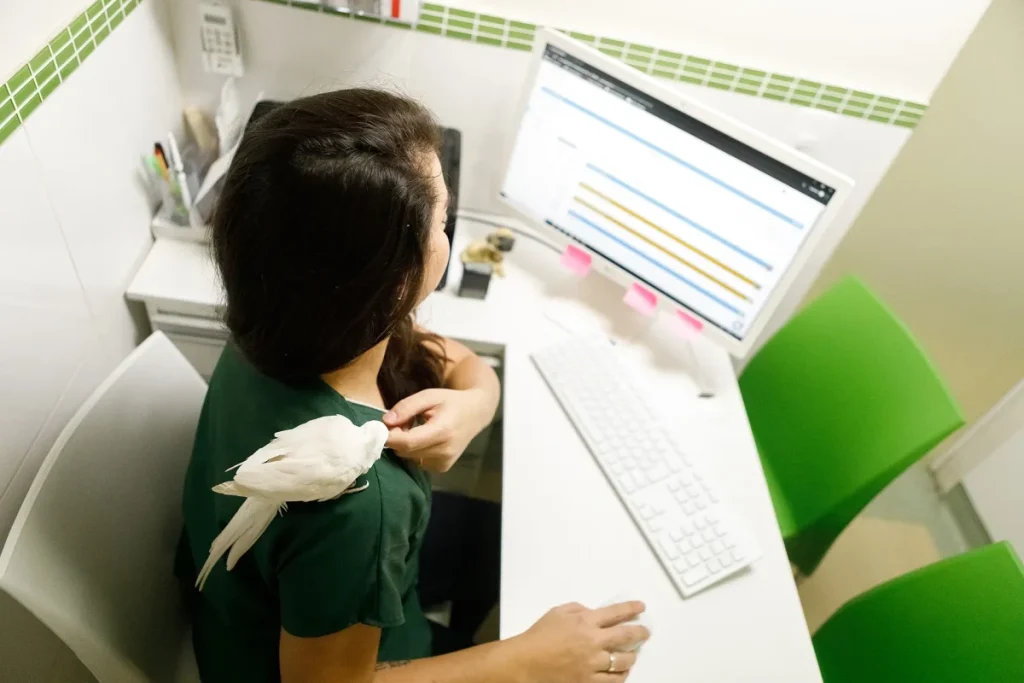 Os erros de gestão mais comuns no mercado pet e como evitá-los em 2026