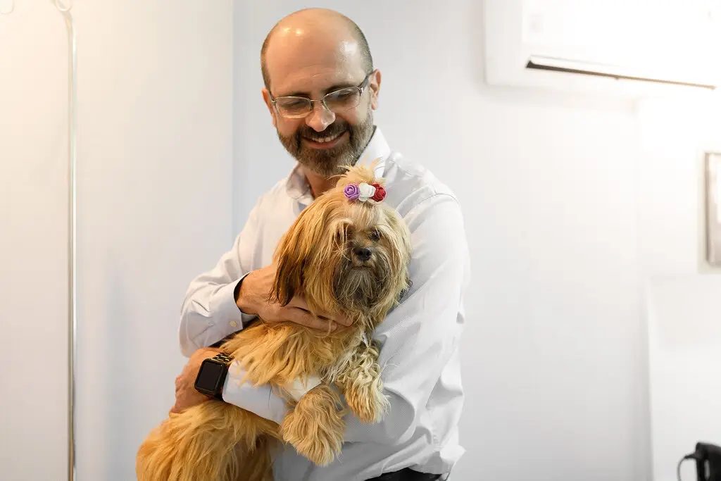 Como aumentar a produtividade na clínica veterinária? 3 Produtividade na clínica veterinária
