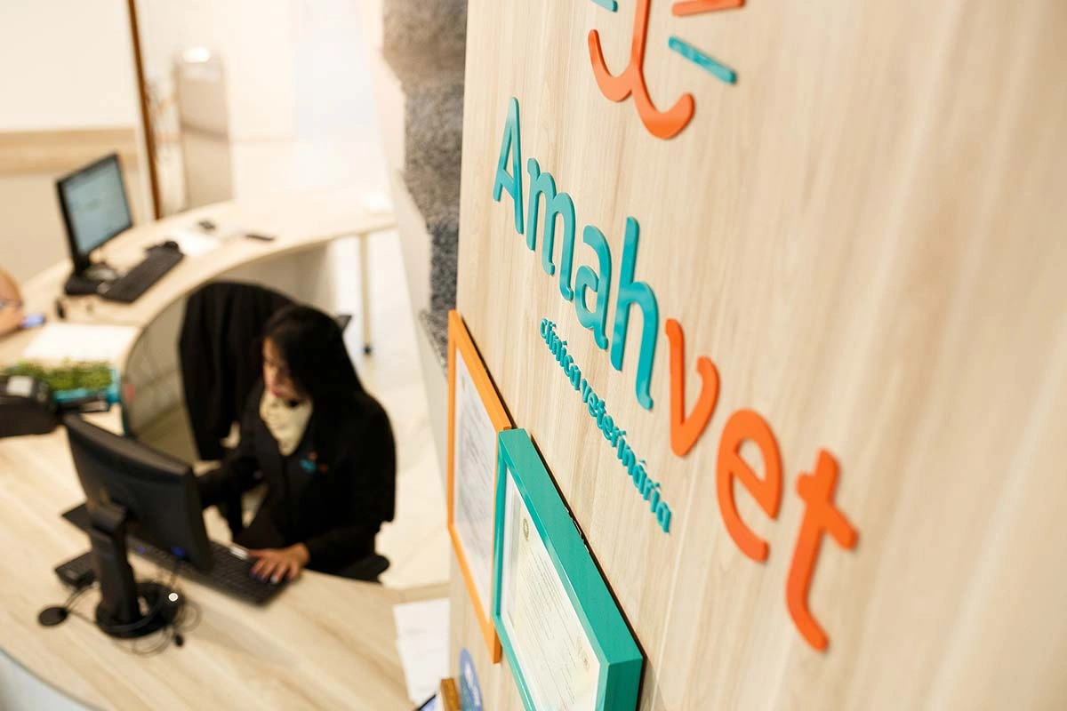 planejamento e estratégias para expandir uma clínica veterinária