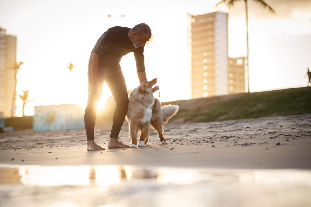 12 KPIs para clínicas veterinárias que você precisa acompanhar 1 KPIs para clínicas veterinárias
